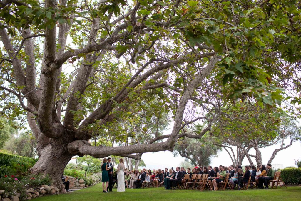 wedding ceremony under a giant tree at the Adamson House in Malibu 