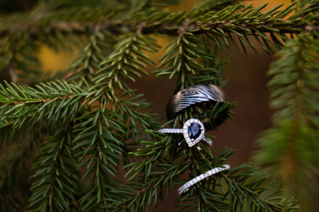Close-up of wedding rings and evergreen trees during a moody Blue Ridge Mountain elopement in Virginia.