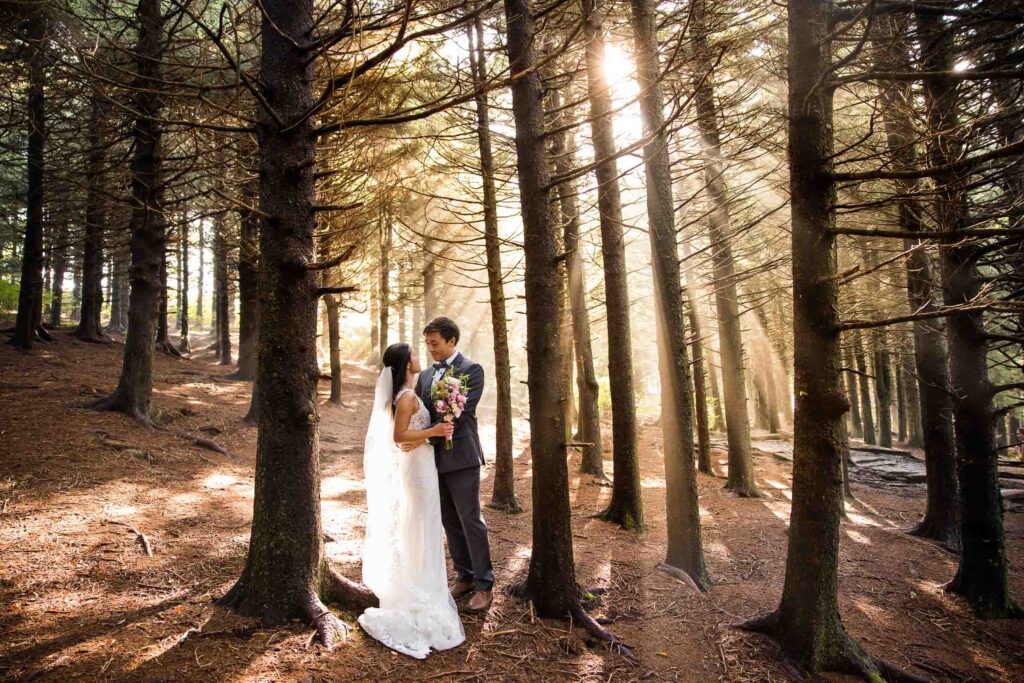 eloping couple in the woods with the golden glow of the sun
