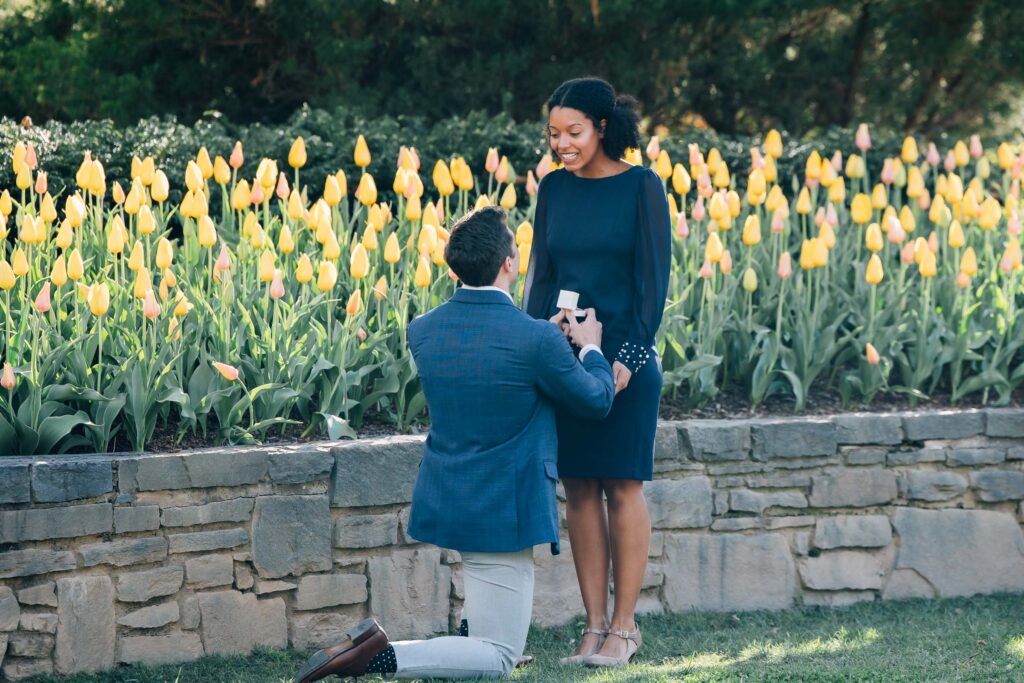 man proposes on one knee at the asheville arboretum in nc with a backdrop of spring tulips
