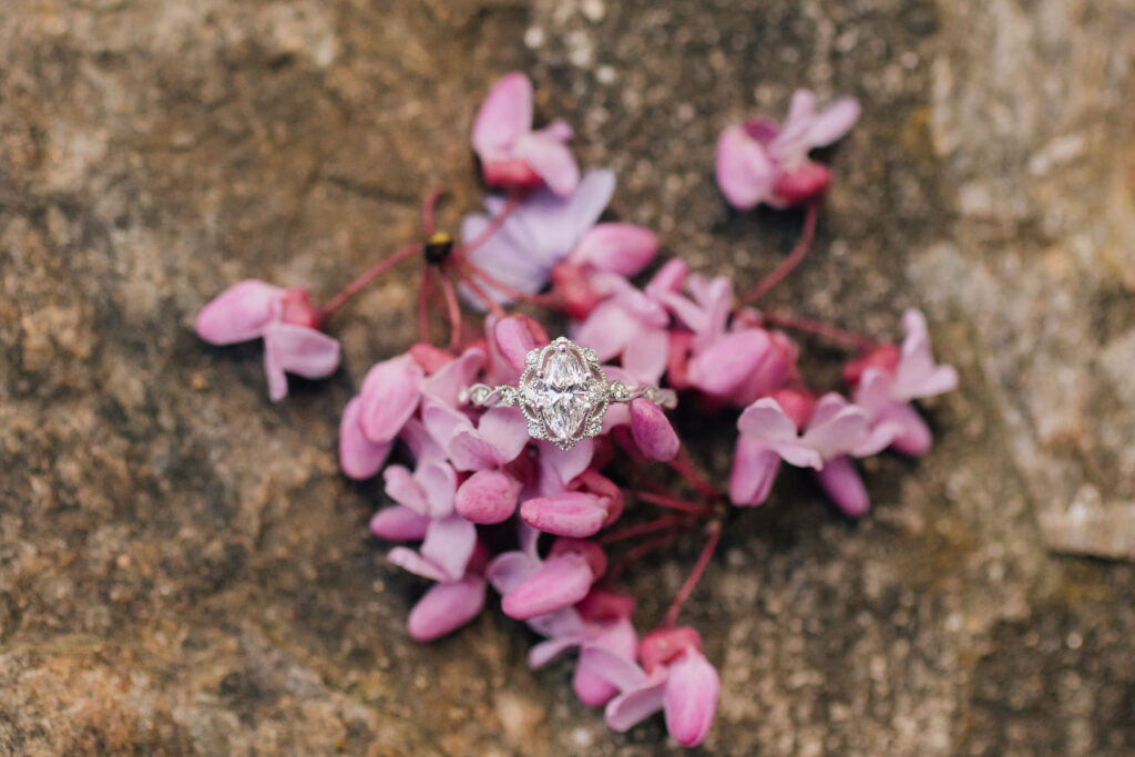 engagement ring closeup with red bud flowers at the unc arboretum