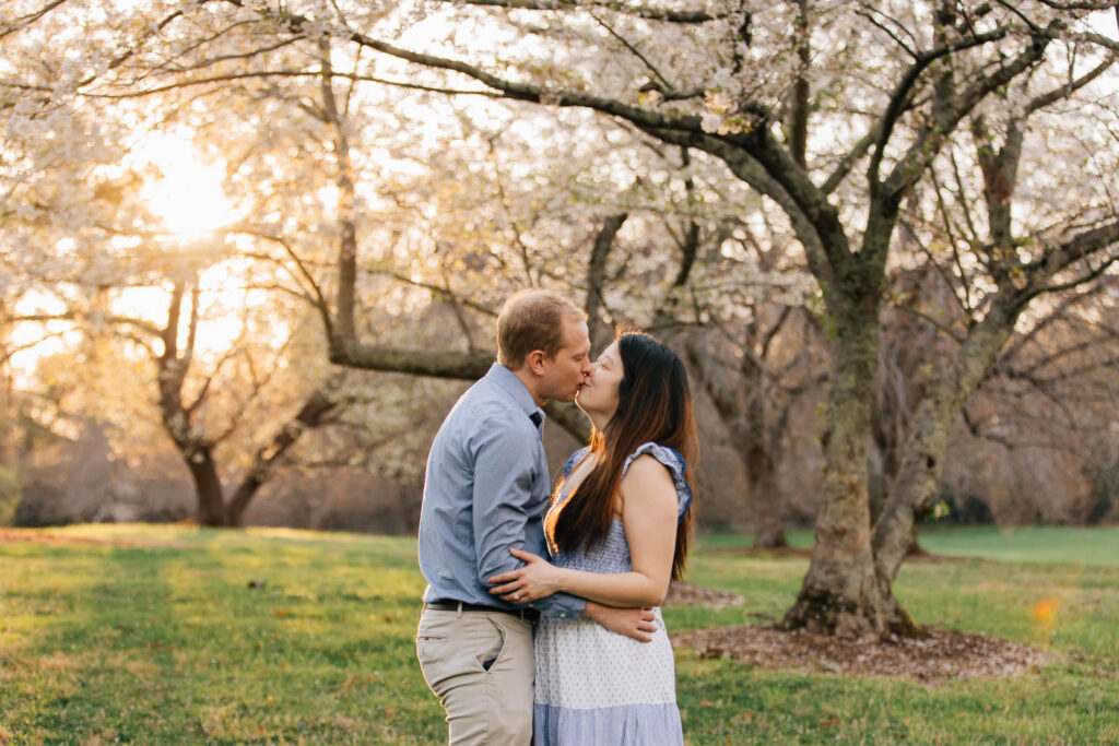 couple kissing in the golden rays of sunset amongst cherry blossoms in nc at the graylyn estate