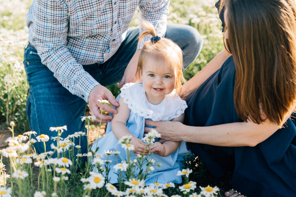 toddler sits in the daisies at dogwood farms in belews creek