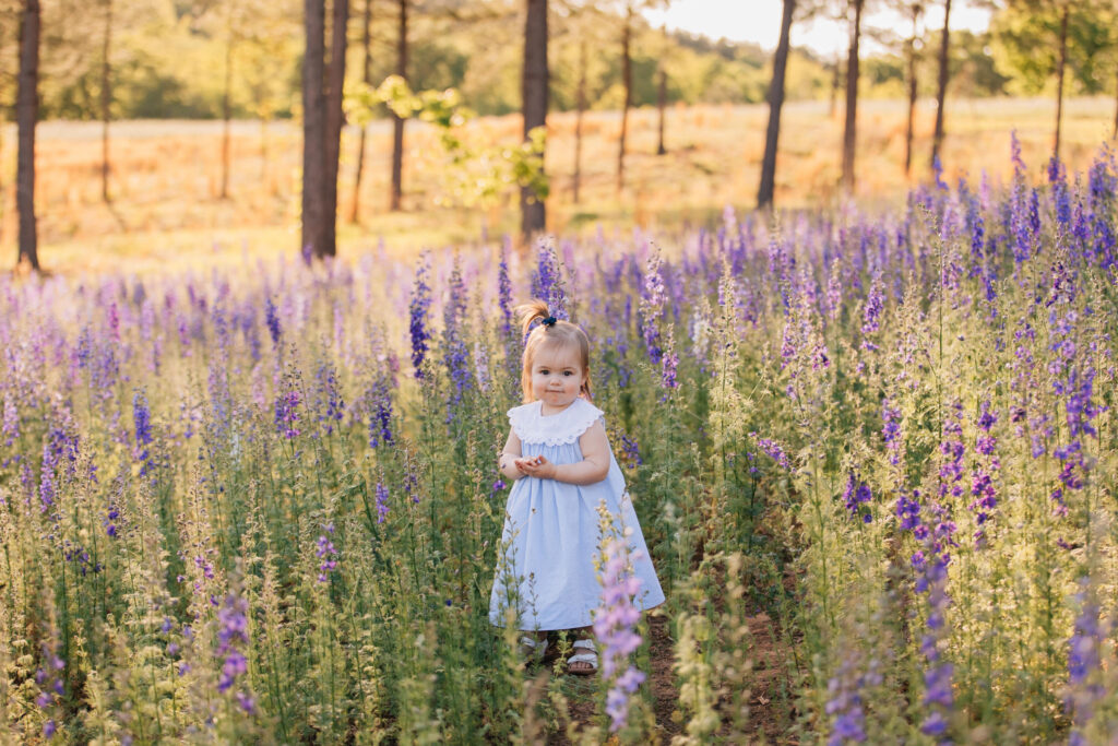 toddler playing in a field of purple larkspur flowers at dogwood flower farm in belews creek, north carolina