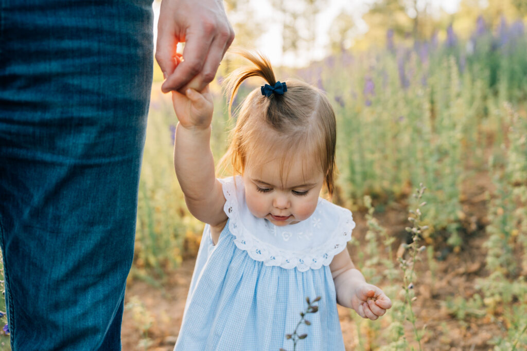 toddler girl holds her dads hand as she walks through a flower field