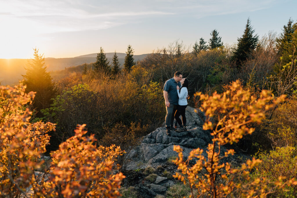 golden light filters through blueberry bushes in the spring at grayson highlands state park during a couple's engagement session after their surprise proposal at Little Pinnacle
