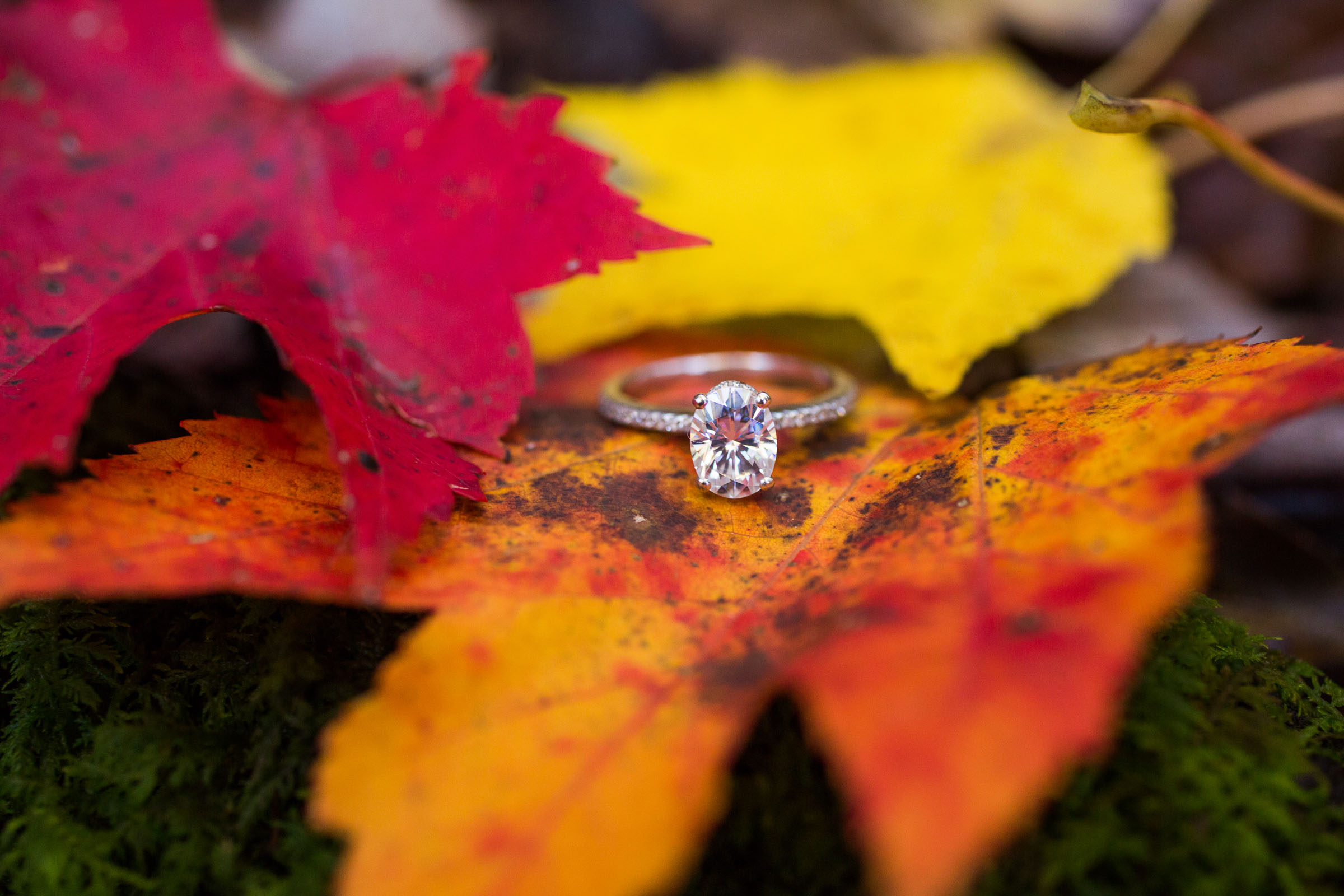 engagement ring on fall leaves on the blue ridge parkway in nc