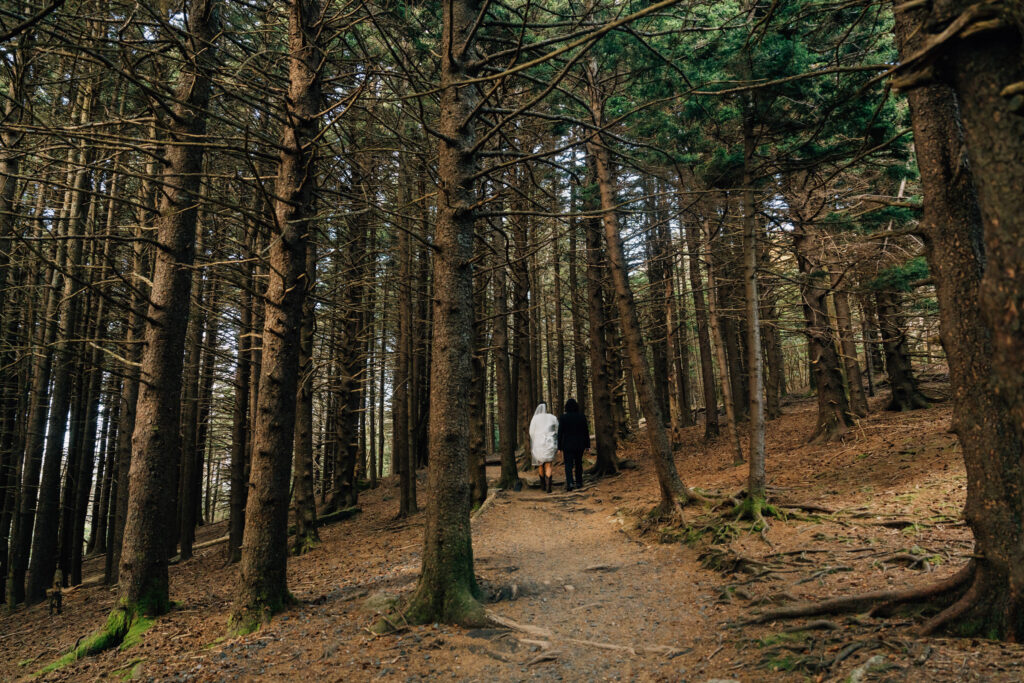 couple walks through a spruce fir forest in the blue ridge mountains of nc during their carver's gap elopement