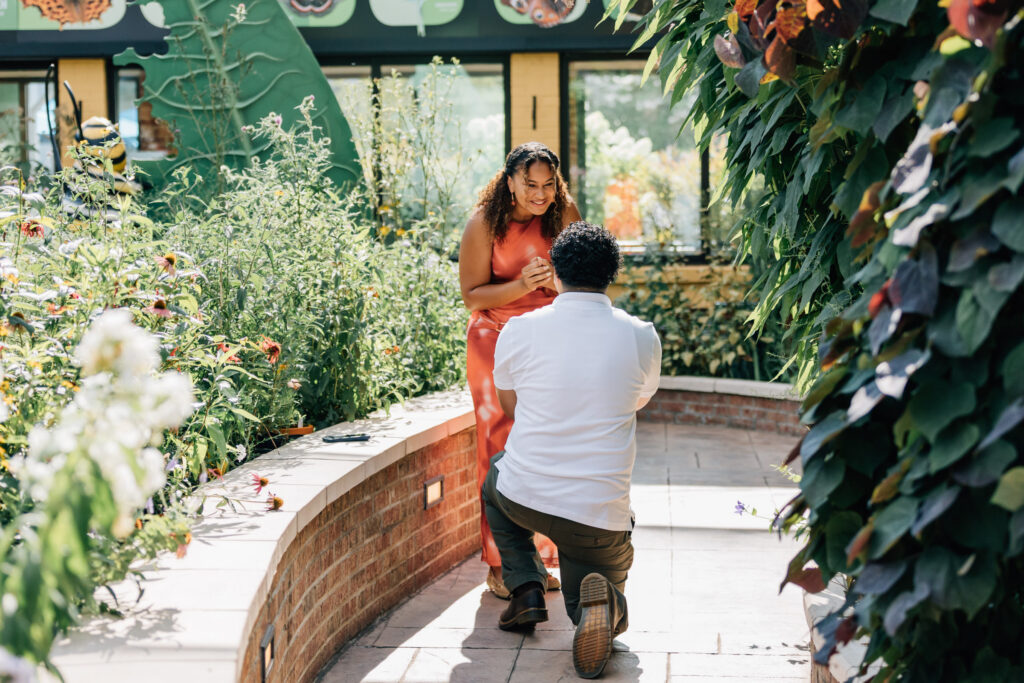 man proposes on one knee in the butterfly exhibit at the greensboro science center