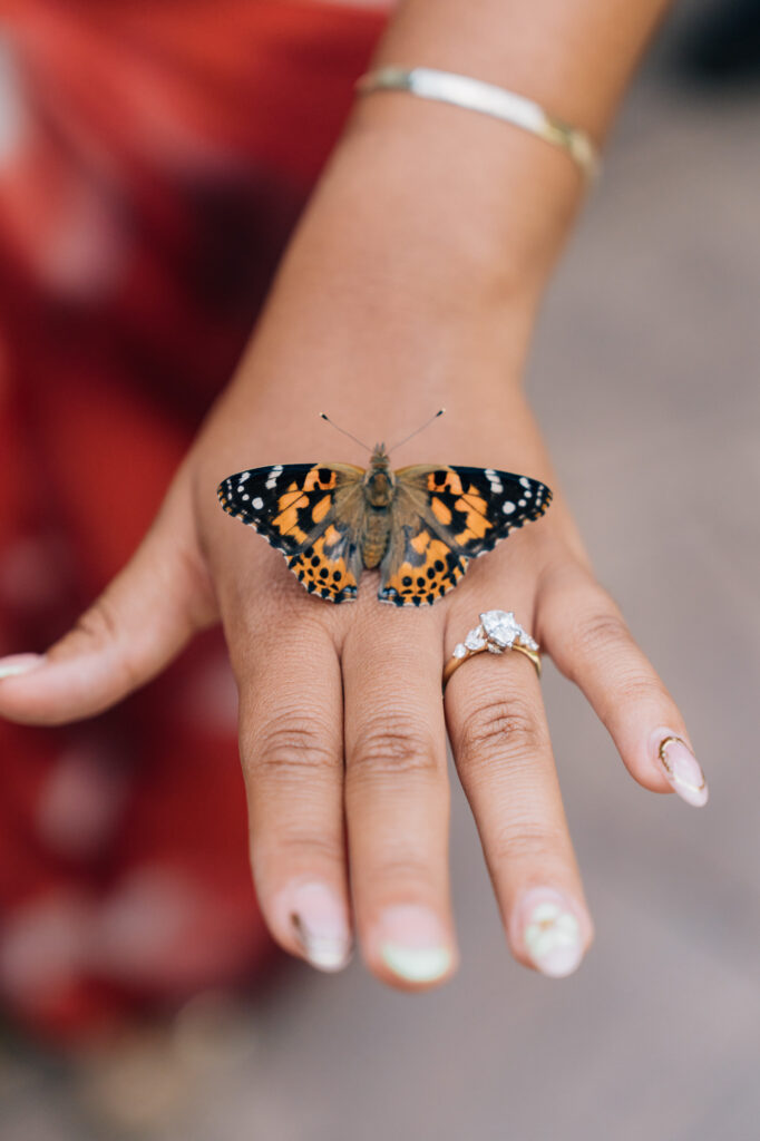 butterfly sitting on a woman's hand next to her engagement ring