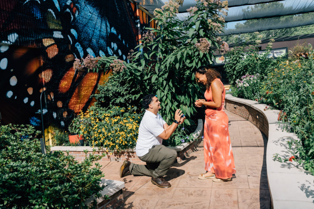 surprise proposal photography at the greensboro science center butterfly garden