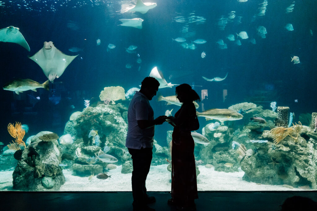 aquarium proposal